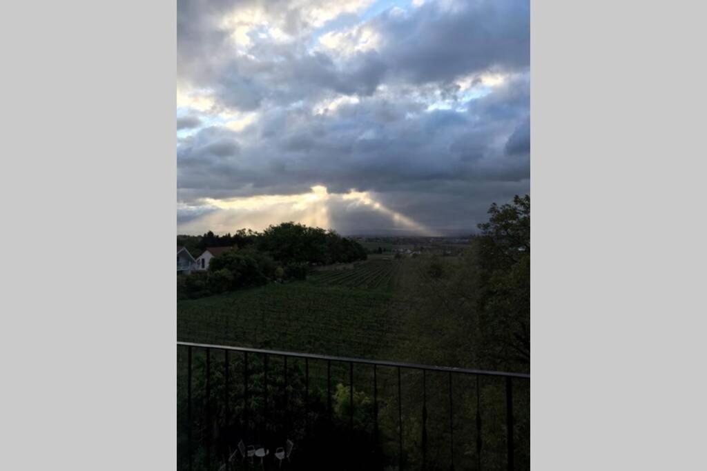 Wunderschoene Wohnung Mit Blick Auf Die Weinberge Neustadt an der Weinstraße Екстериор снимка